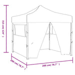 Professional Folding Party Tent with 4 Sidewalls 2x2 m Steel Anthracite 48885