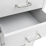 ZNTS Mobile File Cabinet Grey 28x41x109 cm Metal 335921