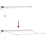 Manual Retractable Awning with LED Brown 300x250 cm 3215374