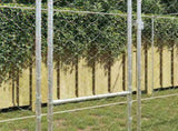 Dog Cage Silver 800 x 200 x 200 cm Galvanised Steel 3368313