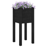 Garden Planters 2 pcs Black 31x31x70 cm Solid Pinewood 810788