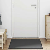 Doormat Anthracite 90x150 cm 4105618