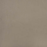 Dining Chair 2 pcs Light Grey 55 x 59.5 x 77 cm Velvet 3415413