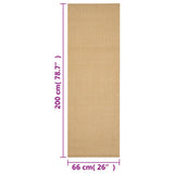 Rug Natural Sisal 66x200 cm 136300