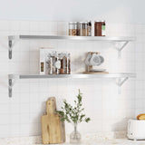 Wall Shelves 2 pcs 100x23.5 cm Silver Stainless Steel 30280