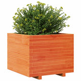 Garden Planter Wax Brown 60x60x49.5 cm Solid Wood Pine 847360