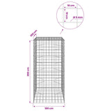 Gabion with 5 mm Wire and 10x10 cm Mesh 100x100x200 cm 3465356