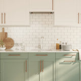 Cabinet Handles 20 pcs Bronze 192 mm Stainless Steel 3203615