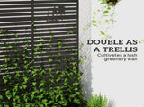 Decorative Privacy Fence Screen, Metal Outdoor Privacy Screen Climbing Plant Trellis with Stand, 122 T3398P555946