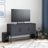 TV Cabinet Anthracite 100.5x39x60.5 cm Steel 846478