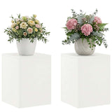 Plant Stand 2 pcs White 30 x 30 x 40 cm Steel 8012463