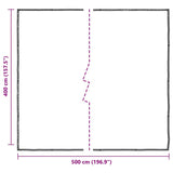 Clear Tarpaulin with Eyelets 4x5 m Polyethylene 4018563