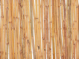 Bamboo Fence 500x50 cm 142682