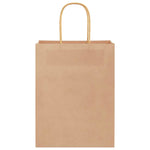 ZNTS Paper Bags 250 pcs with Handles Brown 21x11x28 cm 4101587