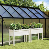 Garden Planters 2 pcs with Legs White Solid Wood Pine 837567