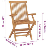 Garden Chair Set of 2 Teak Solid Teak Wood Standard Foldable 41999