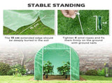300 x 195cm Walk-In Tunnel Greenhouse - Green T3398P318749