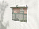 Walk-in Greenhouse with 3 Tier 12 Shelves, Small Greenhouse with Reinforced PE Cover, Garden Plant T3398P318656