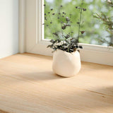 Window Sills 2 pcs Untreated 70x25x2 cm Solid Wood Oak 4009101