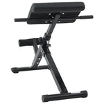 Hyperextension Bench Black 101 x 70 x 71 cm Powder-coated steel 42002573