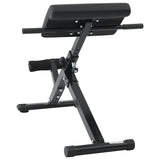 Hyperextension Bench Black 101 x 70 x 71 cm Powder-coated steel 42002573