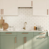 Cabinet Handles 20 pcs Bronze 192 mm Stainless Steel 3203663