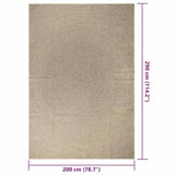 Rug ZIZUR Beige 200x290 cm Jute Look Indoor and Outdoor 4010411