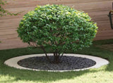 suitable for Flat Tree Ring White 90 / 120 cm Steel 873720