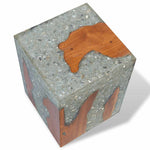 Stool Solid Teak Wood and Resin 243468