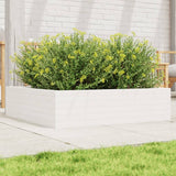 Garden Planter White 90x90x23 cm Solid Wood Pine 847204
