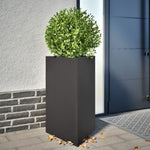 ZNTS Garden Planter Black Triangular 50x43x75 cm Steel 851171