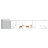 Outdoor Dog Kennel with Roof Silver 10x6x2.5 m Galvanised Steel 3190480
