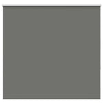 ZNTS Roller Blind Blackout Grey 160x150 cm Fabric Width 156.6 cm Polyester 4011140