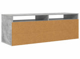 Lowboard with Drawer Concrete Grey 102 x 32 x 48.5 cm 8000591