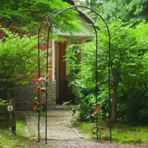 ZNTS Nature Garden Arch Metal 100x37x230cm Black 434651