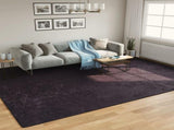 Rug Washable Anthracite 400x300 cm 136631