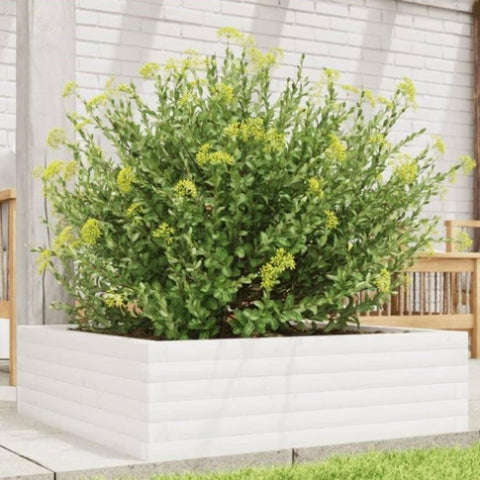 ZNTS Garden Planter White 80x80x23 cm Solid Wood Pine 847199