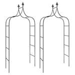 ZNTS Garden Arches 2 pcs Black 120x38x260 cm Steel 319349