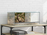 Terrarium with Storage Transparent 50 x 30 x 30 cm Glass 42020390
