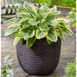 ZNTS Capi Egg Planter "Nature Rib" 54x52 cm Dark Brown 434841