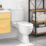 Toilet With Cistern White 240549