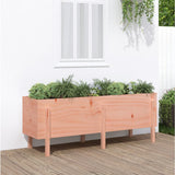 Garden Raised Bed 160x50x57 cm Solid Wood Douglas 825224