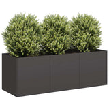 Planter Black 120x40x40 cm Cold-rolled Steel 860675