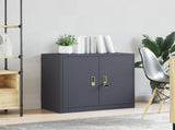 Storage Cabinet Anthracite 80 x 40 x 70 cm Steel 891678
