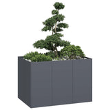 ZNTS Planter Anthracite 120x80x80 cm Steel 860789