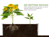 302L Raised Garden Bed, Weather-resistant PP Planter Box Containers for Outdoor Patio Plant Flower T3398P318839