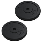 Weight Plate 40 kg Cast Iron 3145054