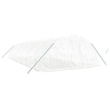 Greenhouse with Steel Frame White 60 m 12x5x2.3 m 3188098