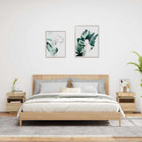 Bedside Cabinets with LED Lights 2 pcs Sonoma Oak 40x39x48.5 cm 836789