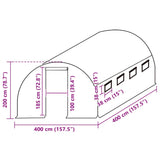 Greenhouse Replacement Cover 400x400x200 cm Green 316444